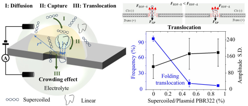 重庆研究院在可控介电击穿纳米孔制备与纳米孔捕获机制研究中取得进展